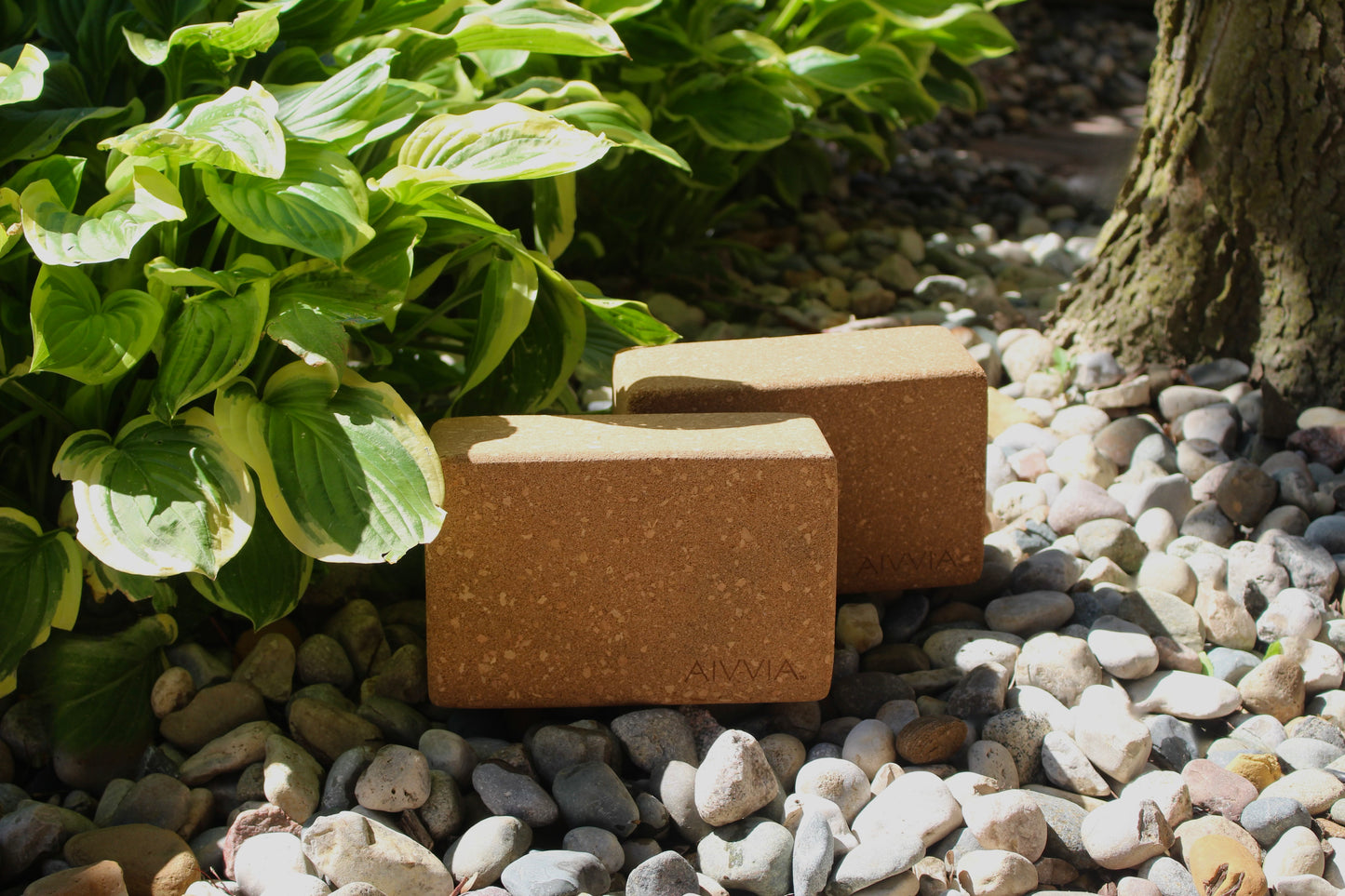 Cork yoga blocks placed outdoors on decorative pebbles surrounded by green plants.