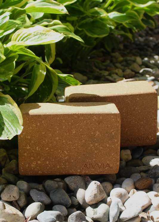 Cork yoga blocks placed outdoors on decorative pebbles surrounded by green plants.